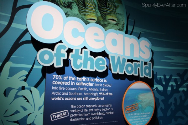 SEA LIFE Orlando Aquarium Facts | SparklyEverAfter.com