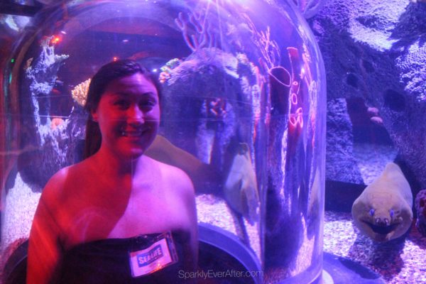 Sparkly Nicole SEA LIFE Orlando Aquarium | SparklyEverAfter.com