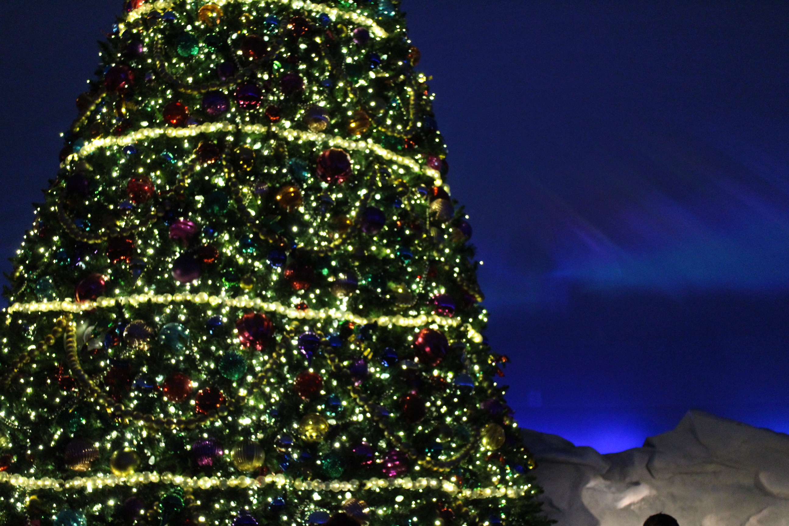 SeaWorld's Christmas Celebration Orlando | SparklyEverAfter.com