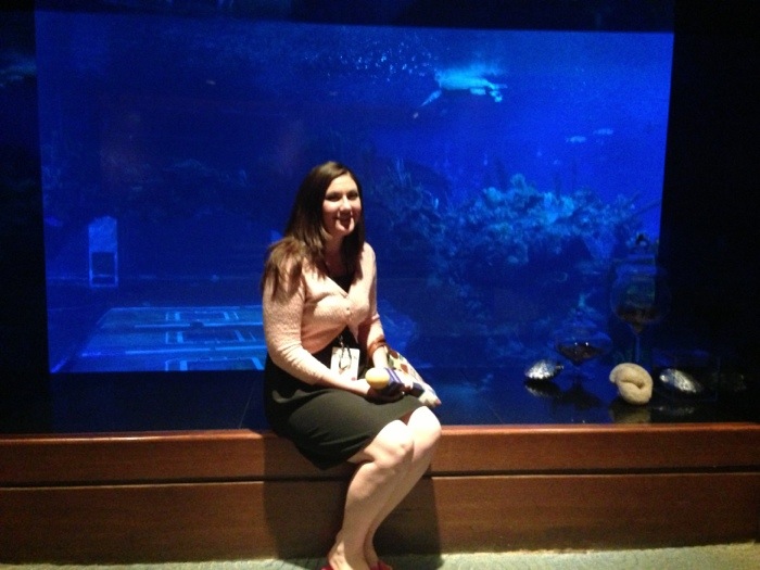 The Living Seas Lounge Aquarium Wall