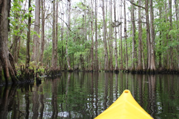 The Paddling Center at Shingle Creek Kissimmee