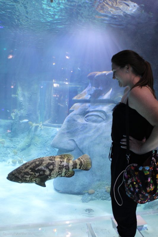 SEA LIFE Orlando Aquarium Tunnel Sparkly Nicole | SparklyEverAfter.com