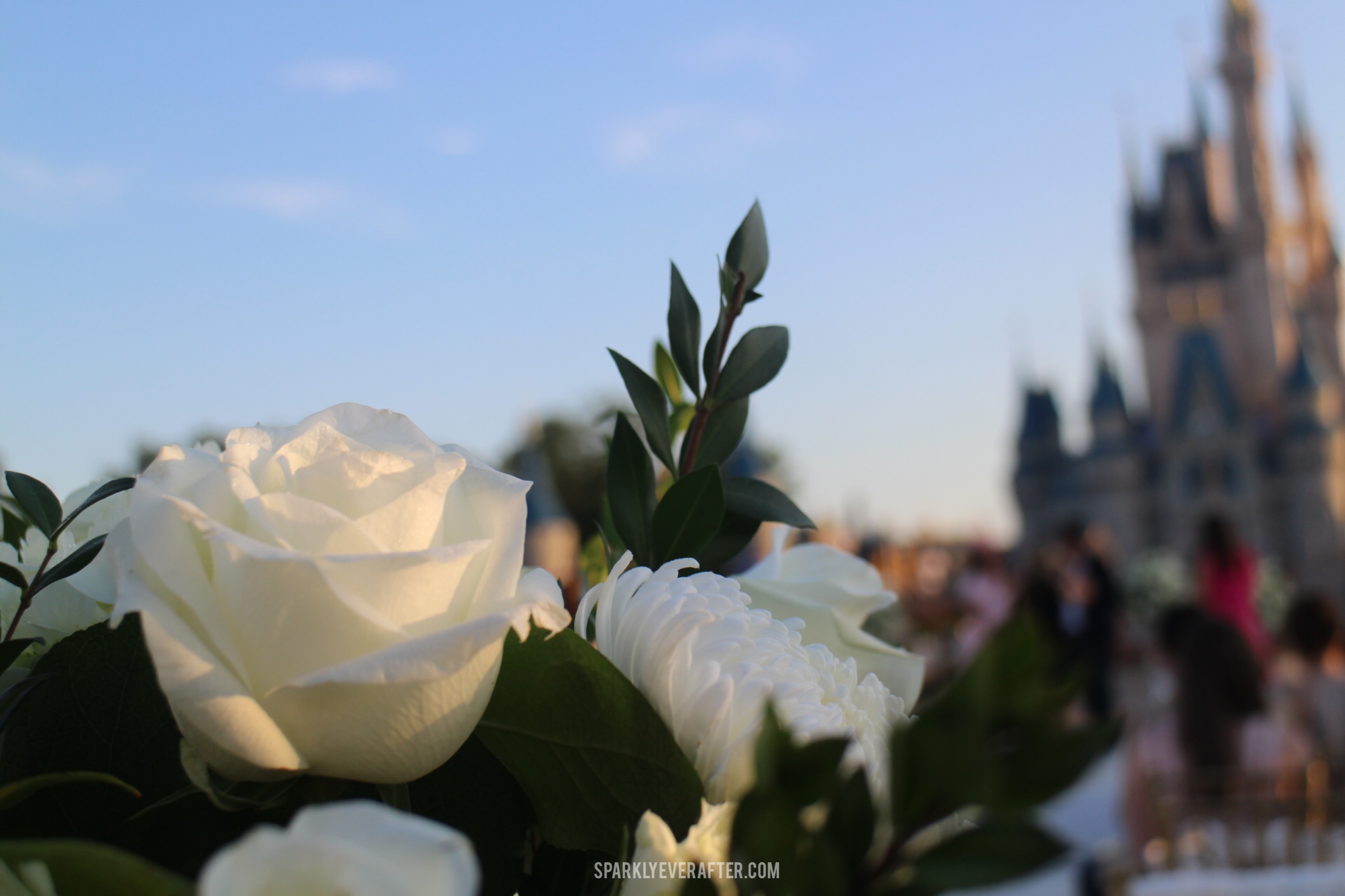 Wedding at Magic Kingdom