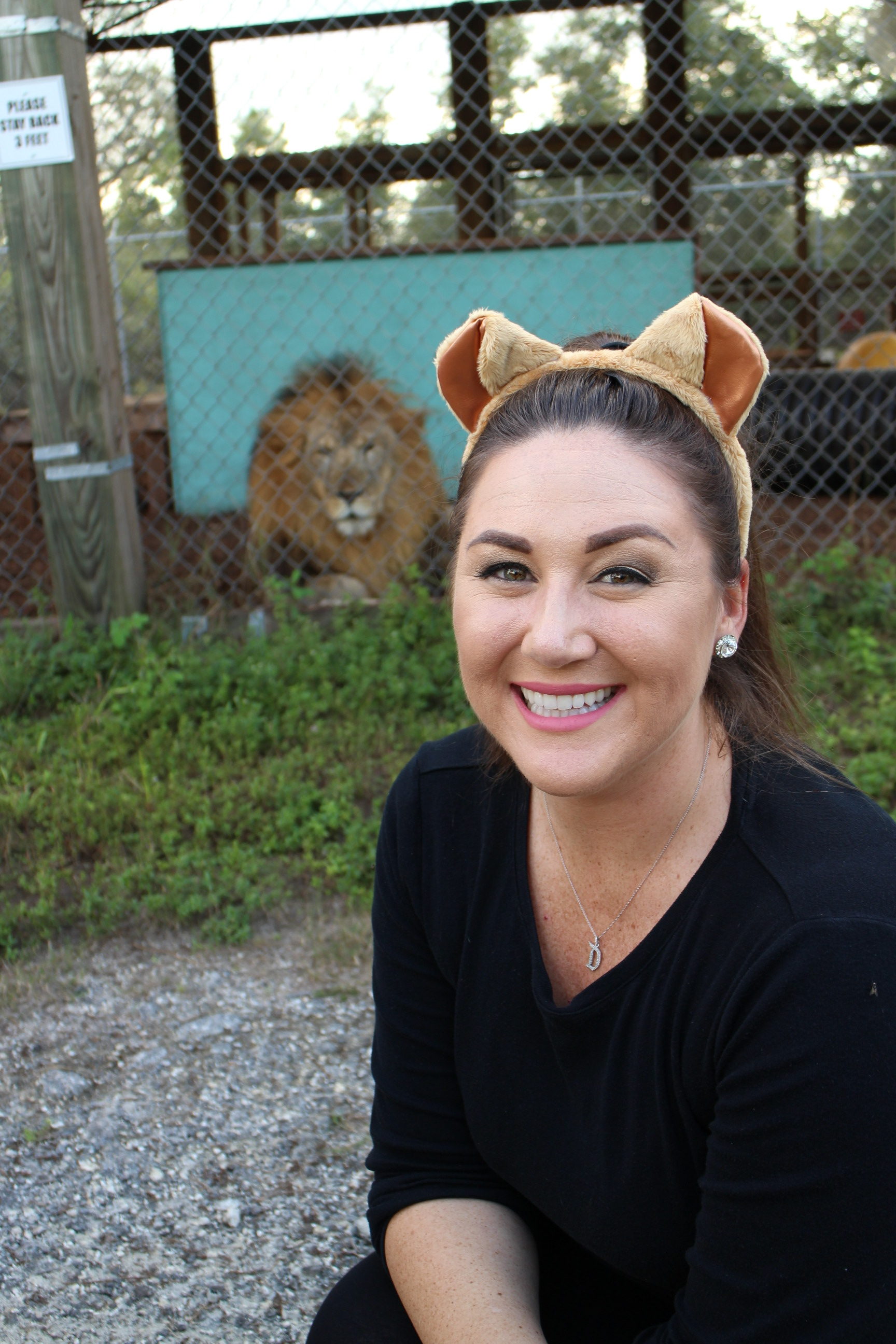 Central Florida Animal Preserve Lion